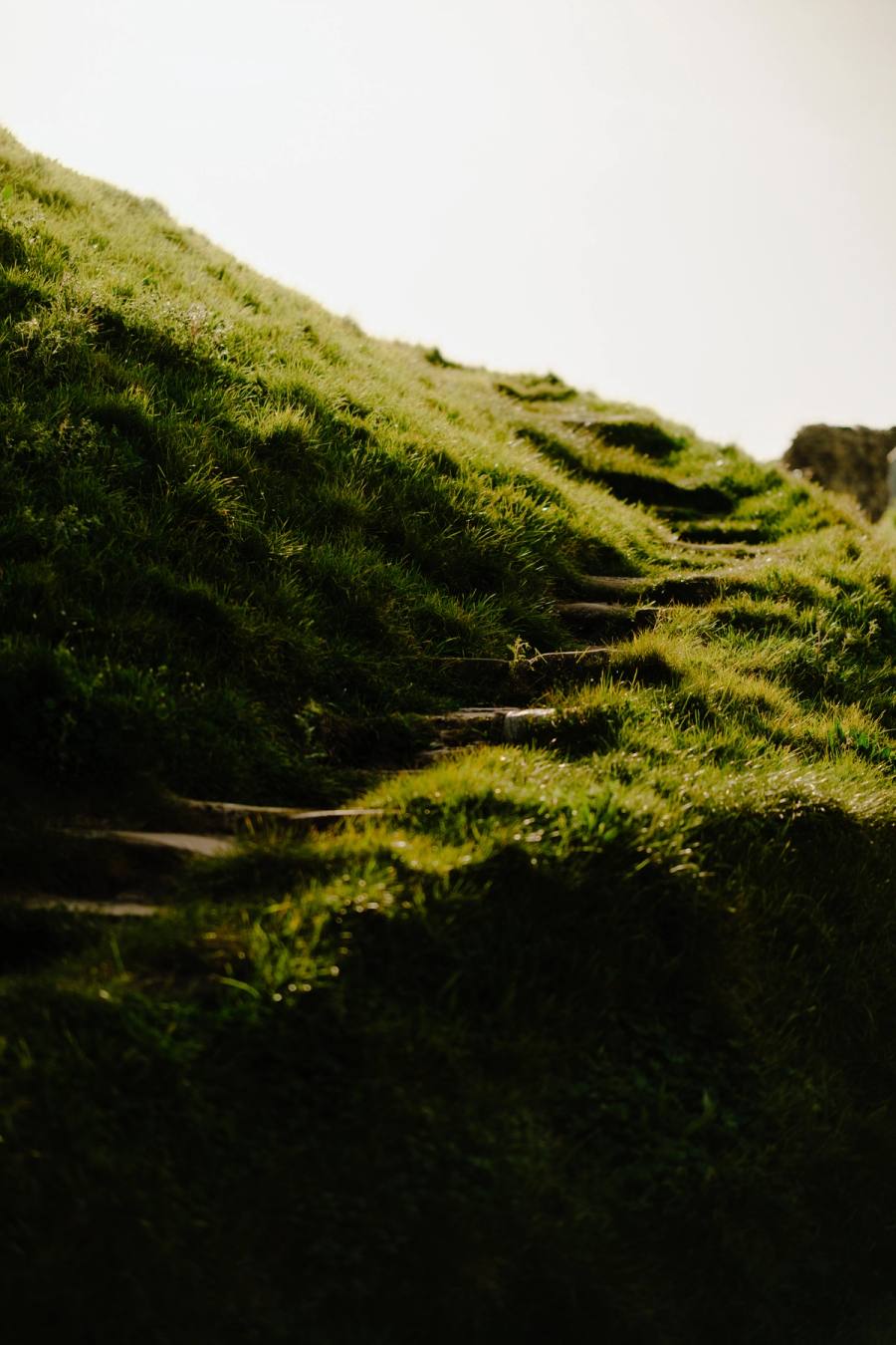 A grassy mound with steps worn into its slope